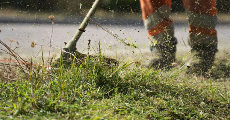 corte de grama em Florianópolis